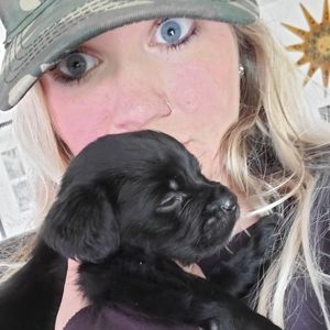 Meet your Posher, Allie